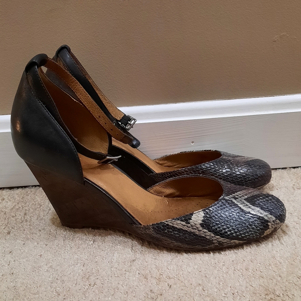 Clark's Wedge Pump